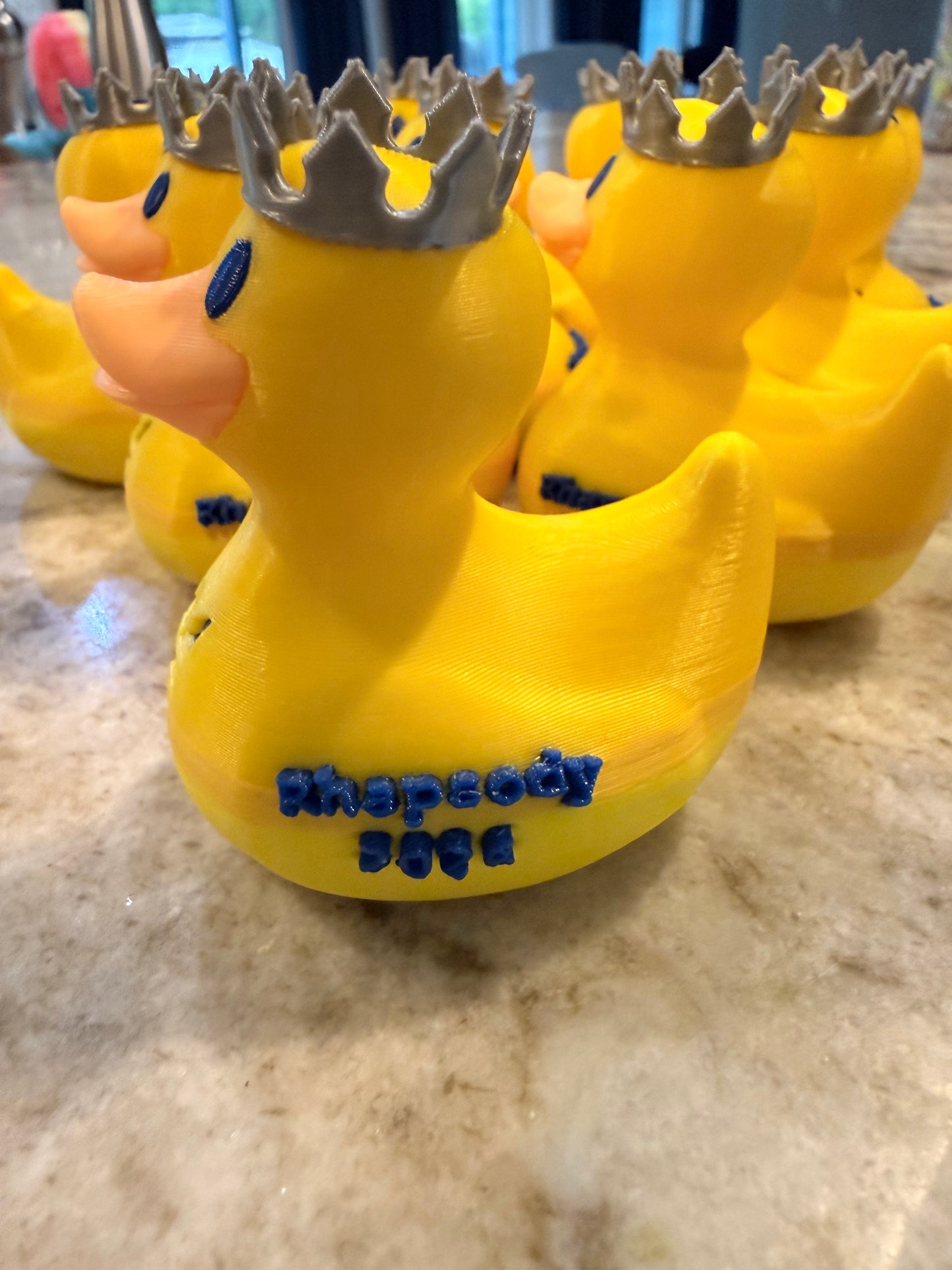 Royal Ship/Year Custom Ducks ๐