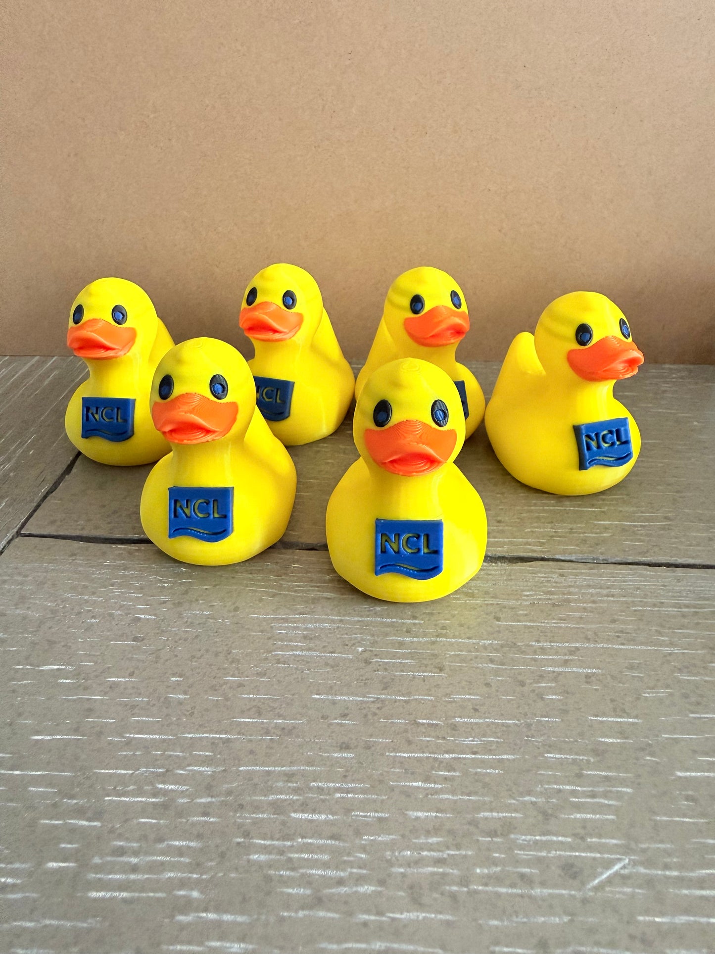 NCL Ducks-Set of 6