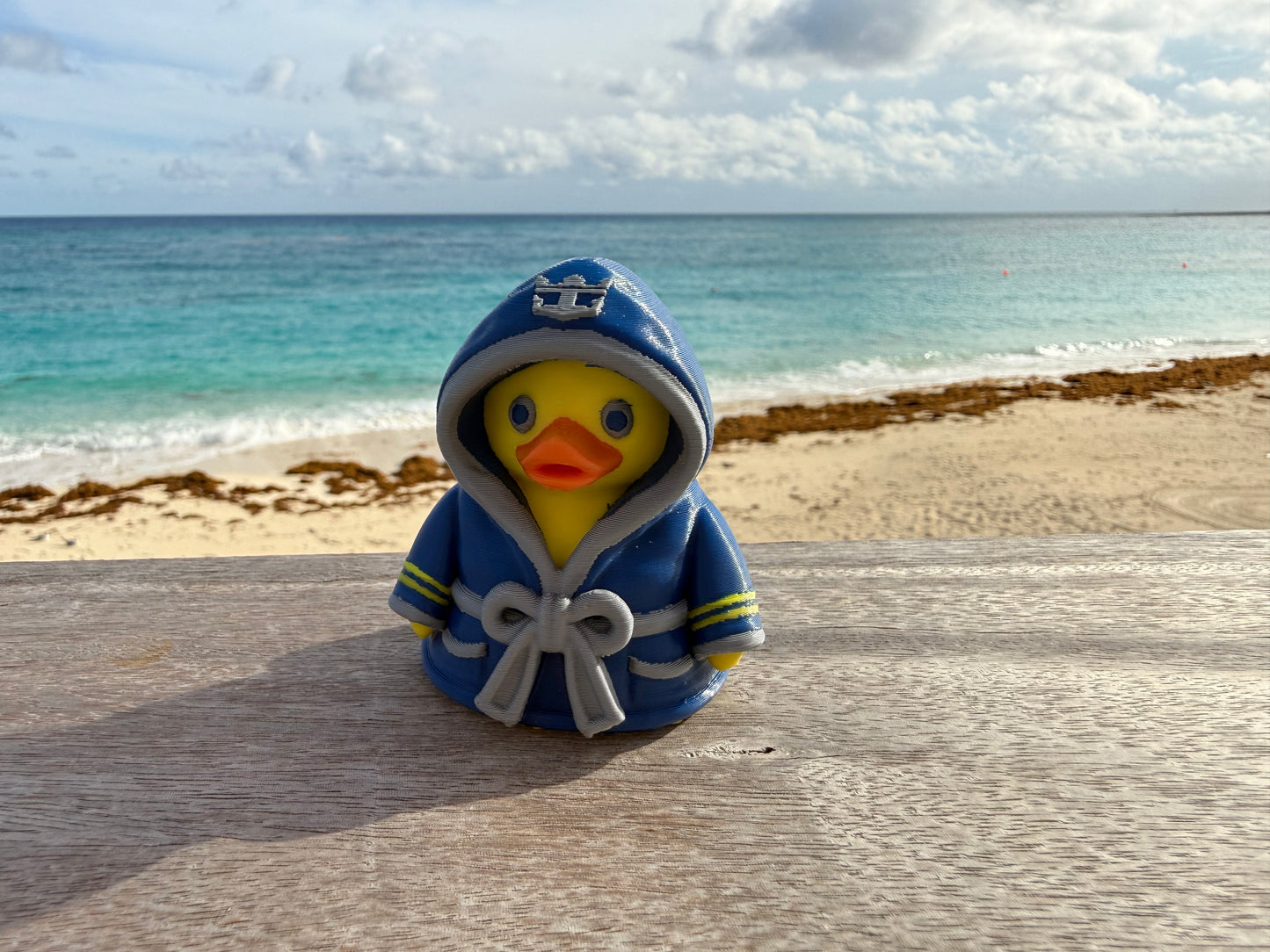 Royal Robe Duck -Set of 4