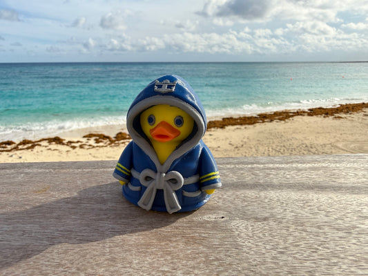Royal Robe Duck -Set of 4
