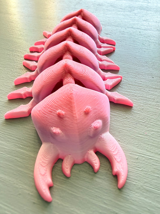 Articulated Centipede – 3D Printed Flexi Fidget Toy