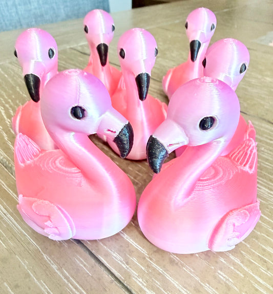Flamingo Ducks