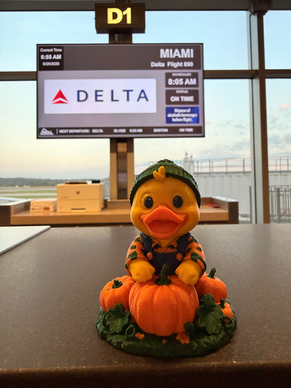 🎃 Pumpkin Patch Quacker