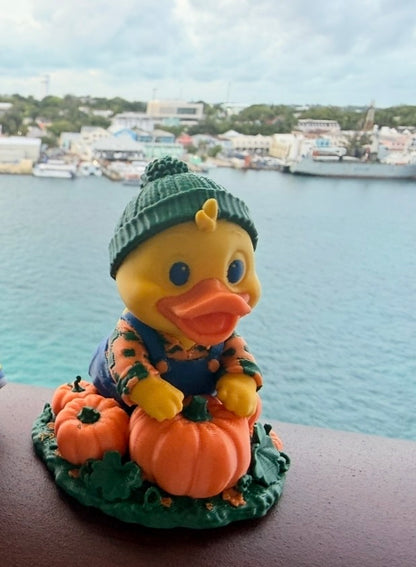 🎃 Pumpkin Patch Quacker