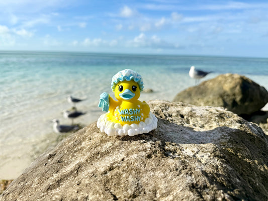 Washy Washy Duck-Set of 4