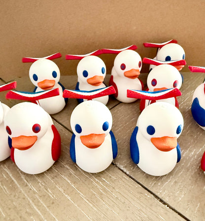 Carnival Cruise Ducks Set of 6